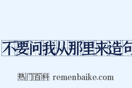 不要问我从那里来造句是什么意思的图片
